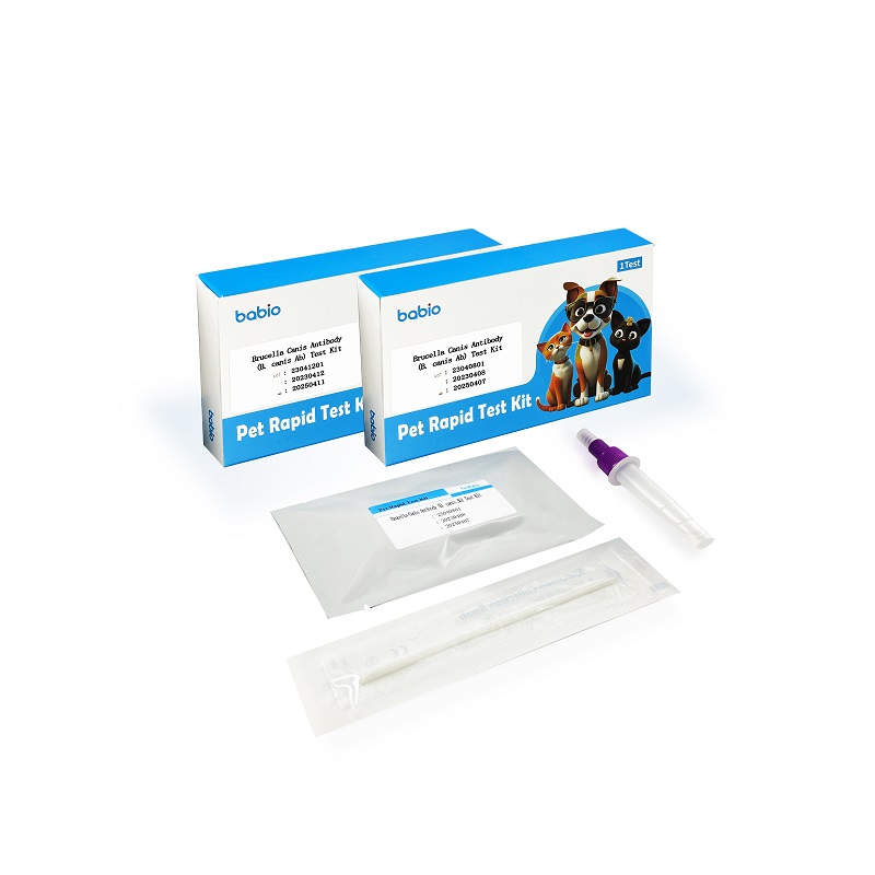 Brucella Canis Antibodi (B. canis Ab) Test Kit