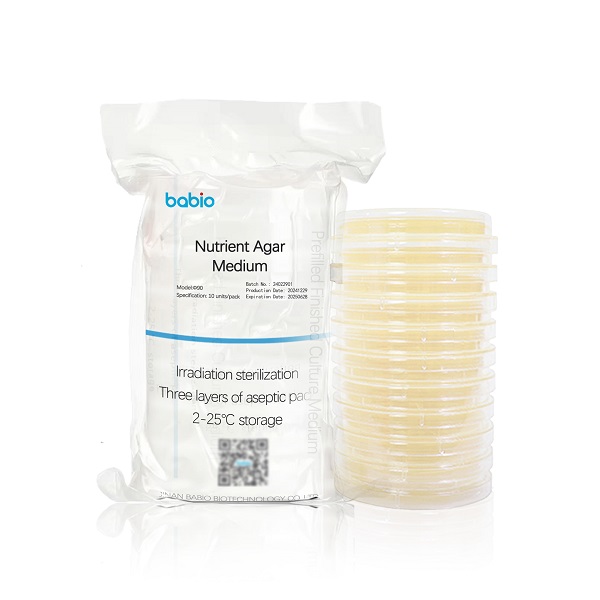Medium agar nutrisi